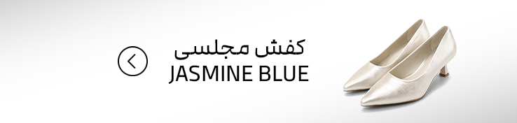 کفش مجلسی
